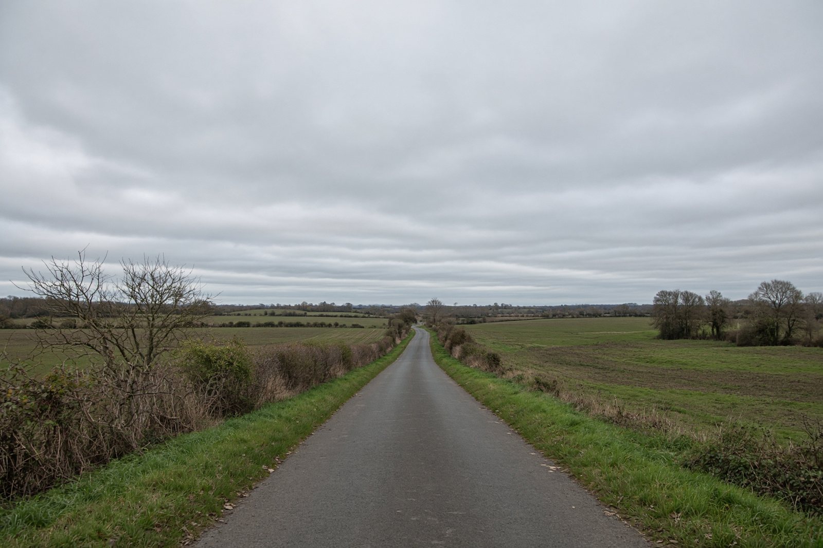 Effen lage grijze laag